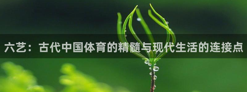 杏悦4