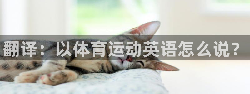 杏悦注册