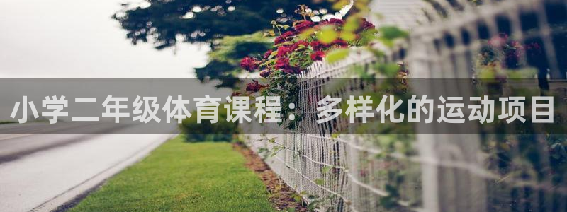 杏悦2代理注册