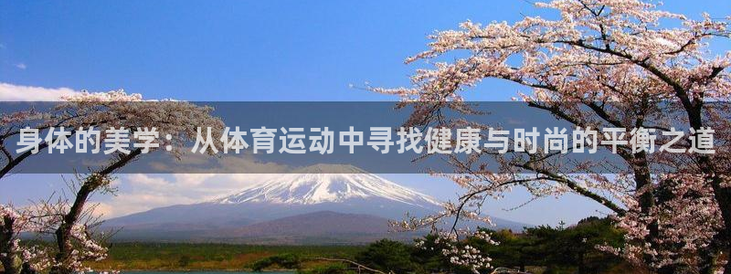 杏悦平台开户链接