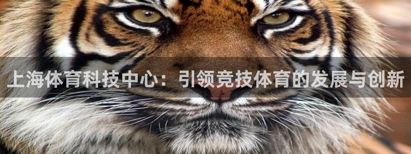 杏悦平台地址