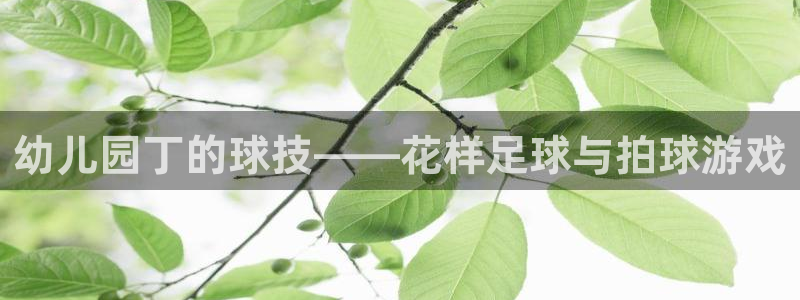 杏悦体育平台登录入口