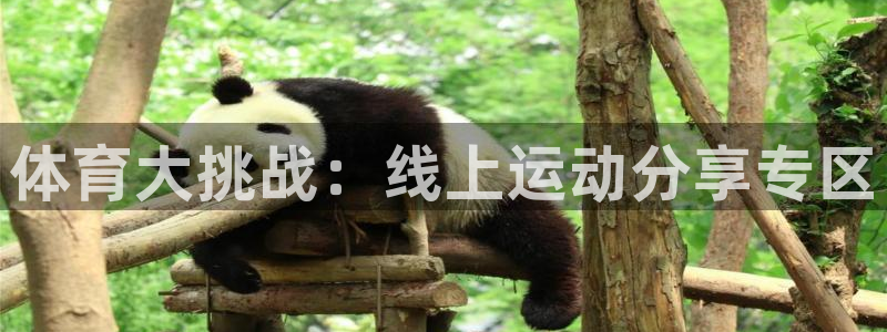 杏悦体育3在线注册