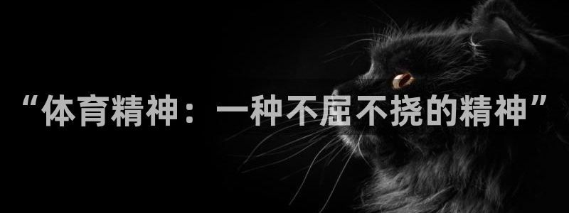 杏悦f凯捷平台在线注册