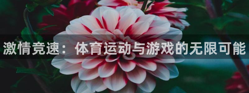 杏悦3代理