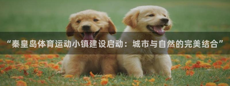 杏悦股份