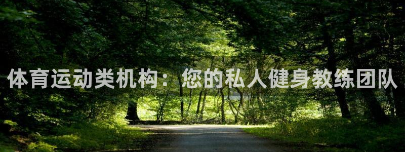 杏悦体育网页版入口