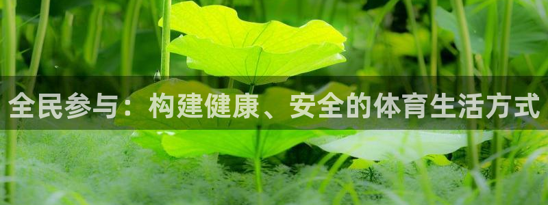 杏悦2平台注册入口