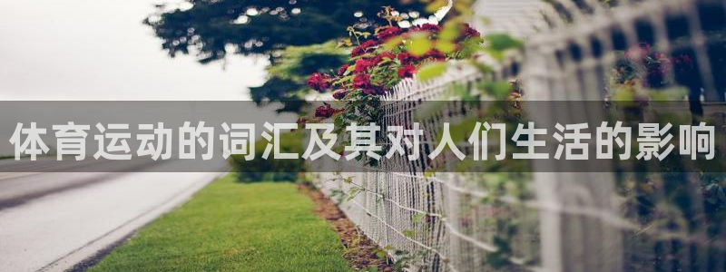 杏悦体育游戏
