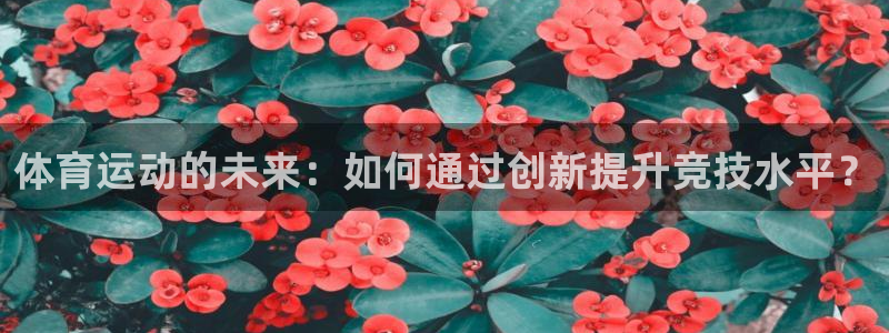 杏悦官网注册