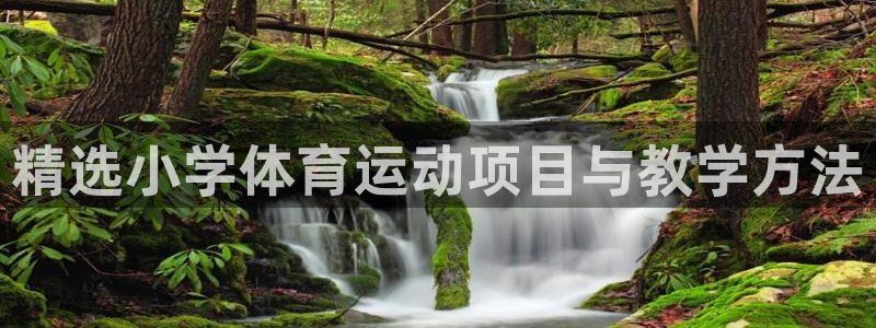 上海杏悦汽车电子有限公司