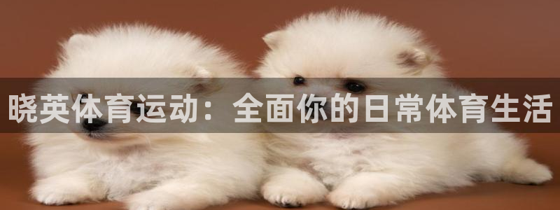 杏悦体育f开户