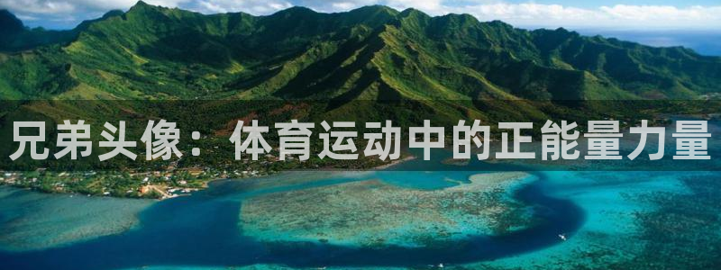 杏悦3官网