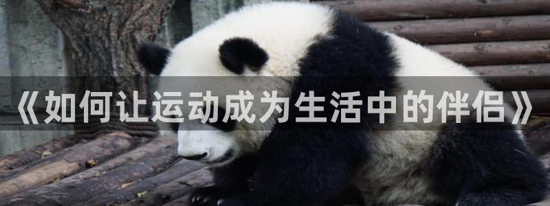 杏悦体育注册