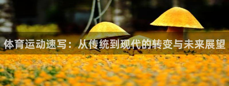 杏悦体育凯捷平台代理