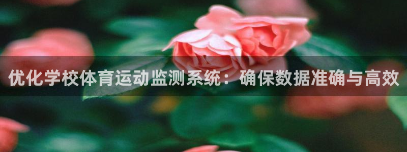 杏悦集团官网