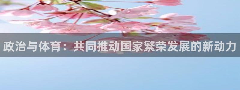 杏悦体育2官网入口