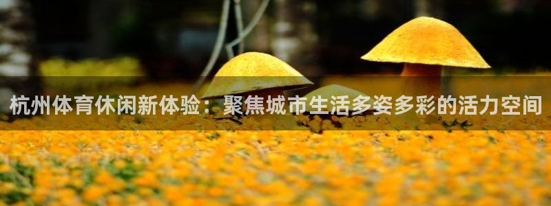 杏悦是什么平台
