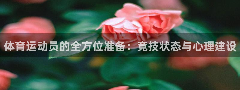 杏悦2