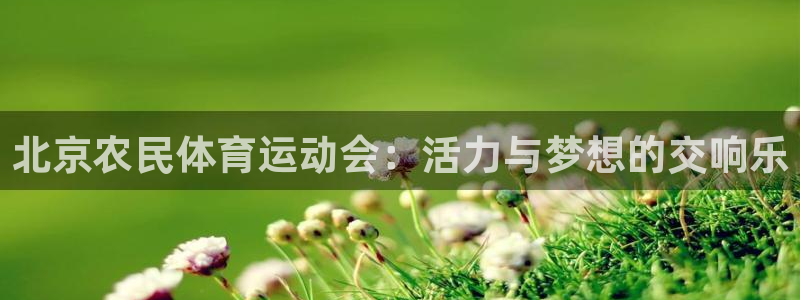 杏悦体育